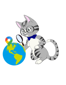datanya google pin search